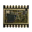 RF-LORA-868-SO Sub-GHz Modules