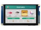 RFF50AF-EYH-DSG electronic component of Raystar