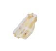 RF-P3S115TS-B37  Optoelectronics