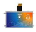 RVT70HSLFWN00  Optoelectronics
