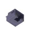 RJ100-A21-300-0R  Connectors