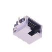 RJ410-ZZ1-200-0R  Connectors
