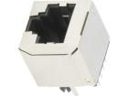 RJJS-88-142-E7V-022 Modular Connectors / Ethernet Connectors