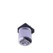 RT1E101M0607  Passive Components
