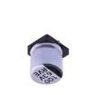 RVE1J101M1010  Passive Components