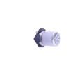 RVT0J470M0405 Aluminium Electrolytic Capacitors - SMD