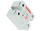 RSR52-48D40 Solid State Relays - PCB Mount