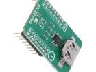 RTC 10 CLICK Development Boards & Kits - Wireless
