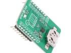 RTC 11 CLICK Daughter Cards & OEM Boards