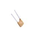 RL06-300 Resettable Fuses - PPTC