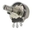 RV4NAYSD502A  Passive Components