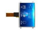 RVT70ASTNWN00 TFT Displays & Accessories
