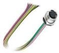 SACC-DSI-M12FS-12CON-M16/0,5  Connectors
