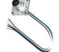 SACC-SQ-M12MS-5CON-25F/0,5 Circular Metric Connectors