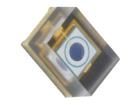 SAH500M1 Photodiodes
