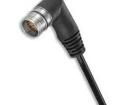 SAIS-M23-19P-AN-5.0M Sensor Cables / Actuator Cables