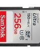 SDSDUNC-256G-GN6IN Memory Cards