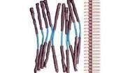 920-0016-01 Jumper Wires