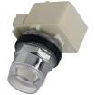 9001K1L35 Pushbutton Switches