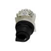 9001SKS42BH13 Rotary Switches