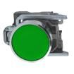 XB4BA31 Pushbutton Switches