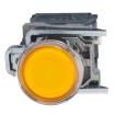 XB4BW35G5 Pushbutton Switches