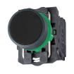 XB5AA21  Electromechanical