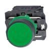 XB5AA31 Pushbutton Switches