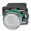XB5AW31G5 Pushbutton Switches
