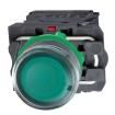 XB5AW33B5 Pushbutton Switches