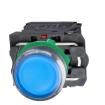 XB5AW36G5 Pushbutton Switches