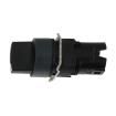 XB6AD233B  Electromechanical