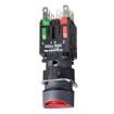XB6AW4B5B Pushbutton Switches