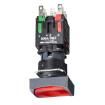 XB6DW4B2B Pushbutton Switches