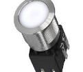 1241.8560 Pushbutton Switches