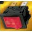 1301.9211 Pushbutton Switches