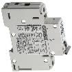 4420.0909 Circuit Breakers