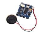 107020004  Embedded Solutions