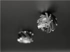 110070010  Embedded Solutions