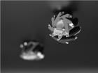 110070011  Embedded Solutions