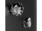 110070011 Processor Accessories