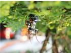110990448  Embedded Solutions