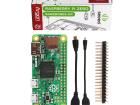 110991025 Development Boards & Kits - ARM