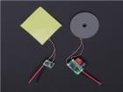 317010006  Embedded Solutions