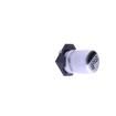 CS1A220M-CRC54 Aluminium Electrolytic Capacitors - SMD