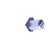 CS1C100M-CRC54 Aluminium Electrolytic Capacitors - SMD