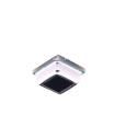 S16-L221D-2  Optoelectronics