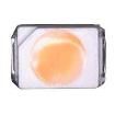 C8WT803 Standard LEDs - SMD