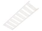 SF 3/12 MC NE WS V2  Wire & Cable