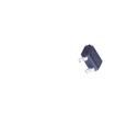SK2301AA1SHB MOSFETs